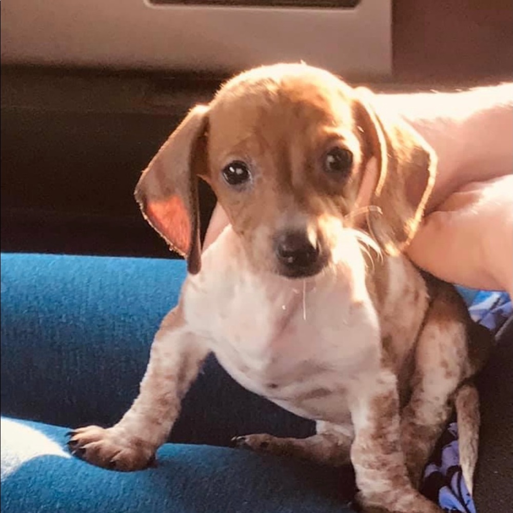 Meet your Posher, Debra